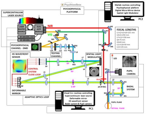 Comparison of vision through surface modulated and spatial light ...