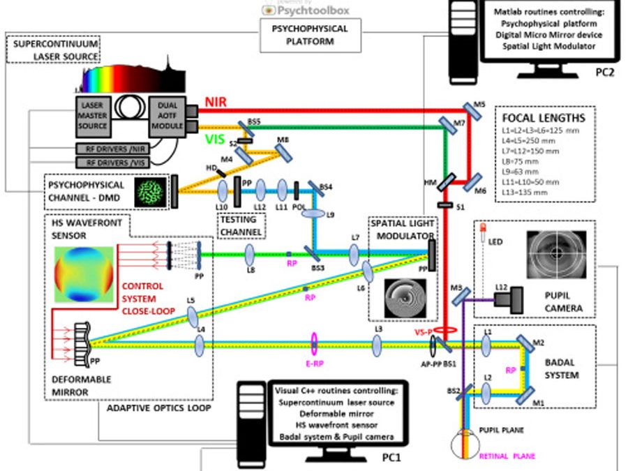 Comparison of vision through surface modulated and spatial light modulated multifocal optics (2017)