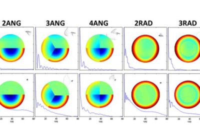 Testing vision with angular and radial multifocal designs using Adaptive Optics (2017)