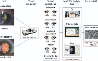 Visual simulations of presbyopic corrections through cataract opacification (2022)