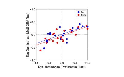 Monovision Correction Preference and Eye Dominance Measurements (2023)