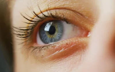 Partes del Ojo: Guía Completa